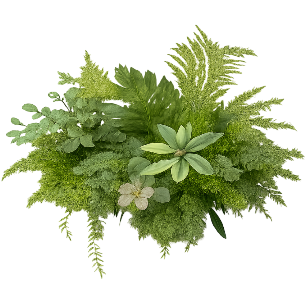 parvasko
