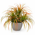 Plante artificielle d'intérieur avec pot en céramique, 60 cm, vert et orange