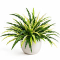 Plante artificielle verte et jaune en pot blanc