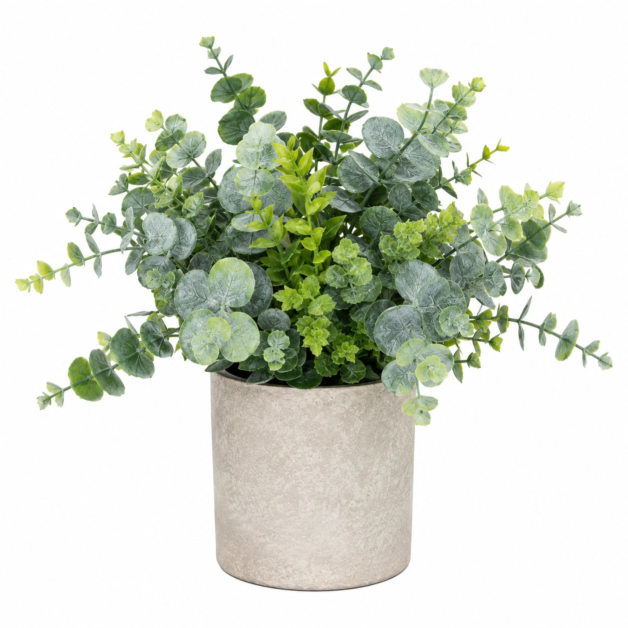 Plante Artificielle Eucalyptus avec Pot en Ciment, Hauteur 30 cm